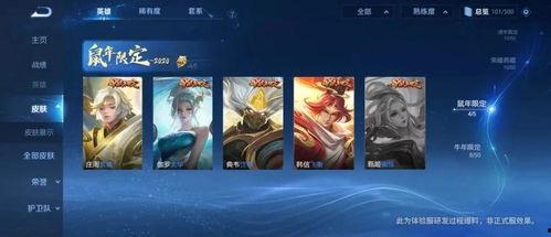 王忠新皮肤爆料视频大全,视觉盛宴与期待满满  第1张